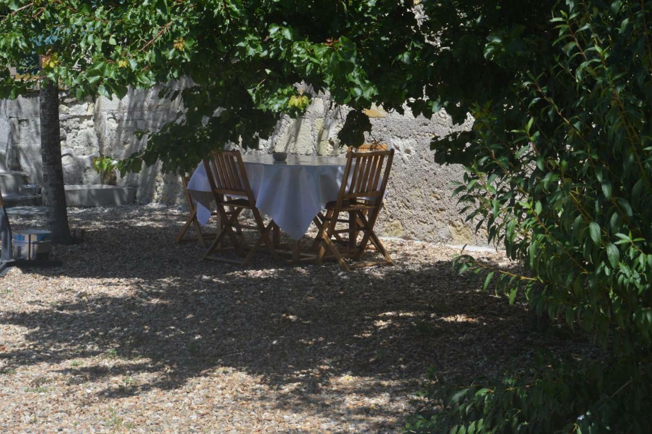 Gite Dans Le Vignoble De Bourgueil Le Port Boulet Exterior photo